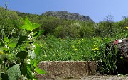 Anello del Pizzo di Spino il 21 aprile 2015  - FOTOGALLERY